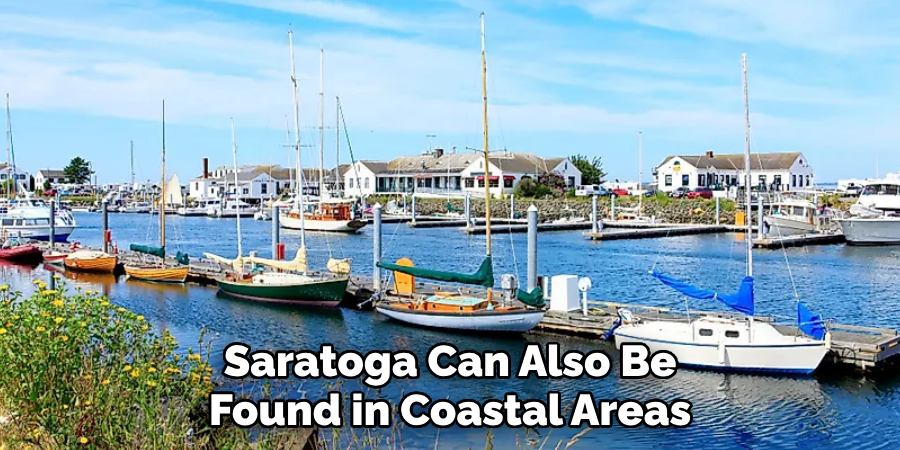 Saratoga Can Also Be Found in Coastal Areas