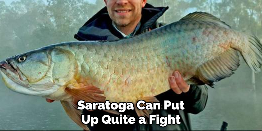 Saratoga Can Put Up Quite a Fight