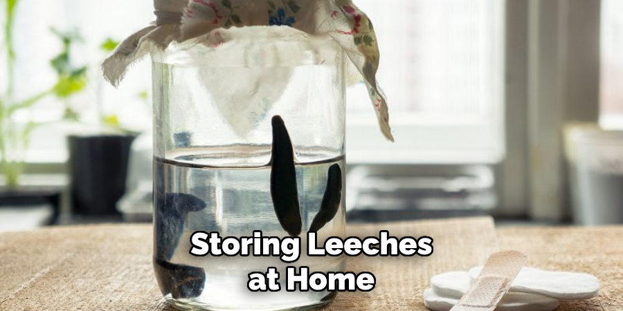 Storing Leeches at Home