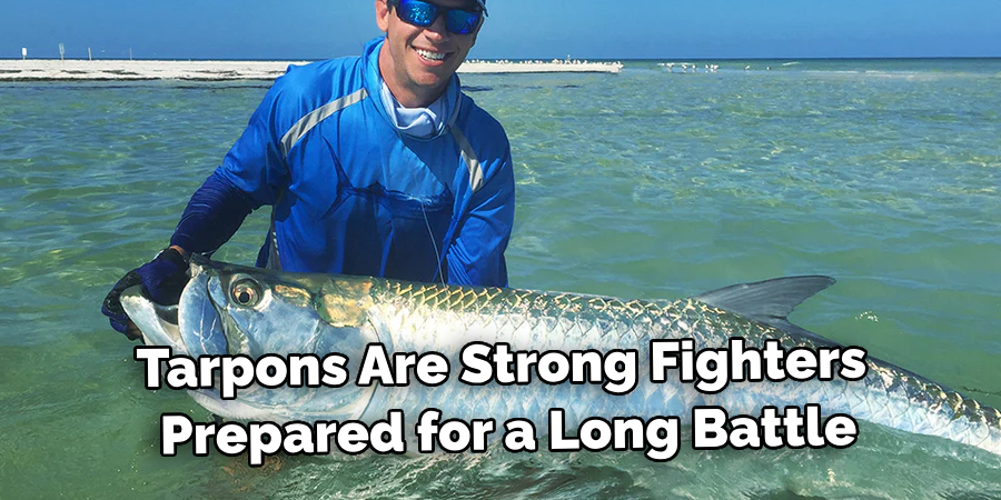 Tarpons Are Strong Fighters Prepared for a Long Battle