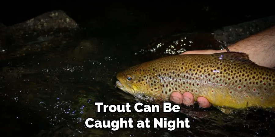 Trout Can Be Caught at Night