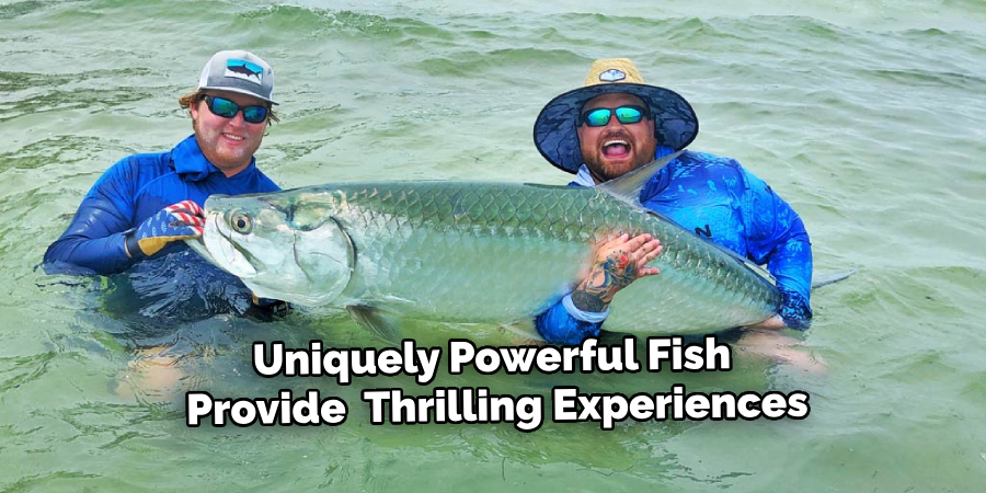 Uniquely Powerful Fish Provide  Thrilling Experiences