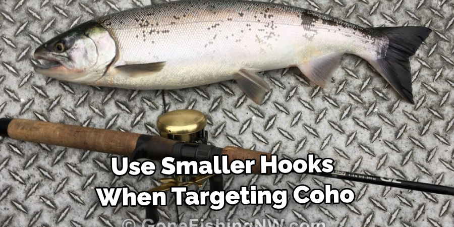 Use Smaller Hooks When Targeting Coho