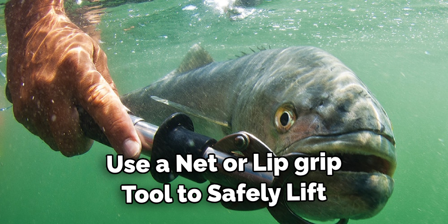 Use a Net or Lip grip Tool to Safely Lift 