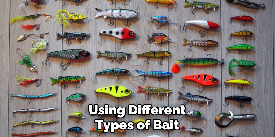 Using Different Types of Bait