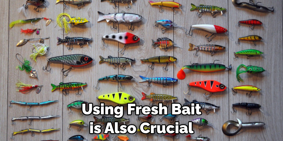 Using Fresh Bait is Also Crucial