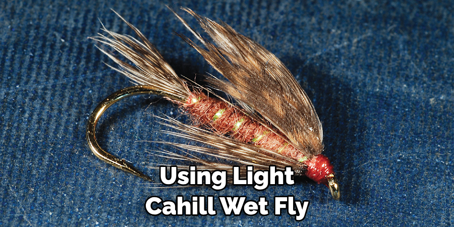 Using Light Cahill Wet Fly