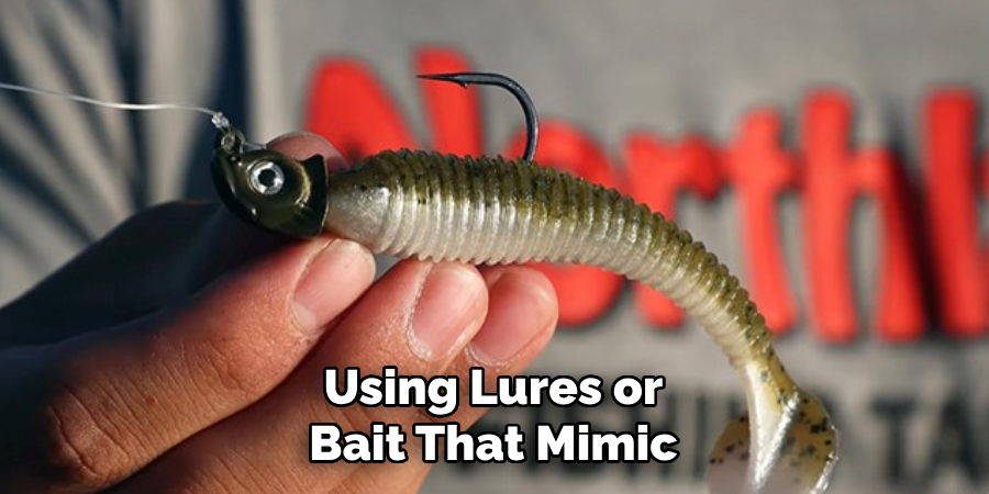 Using Lures or Bait That Mimic