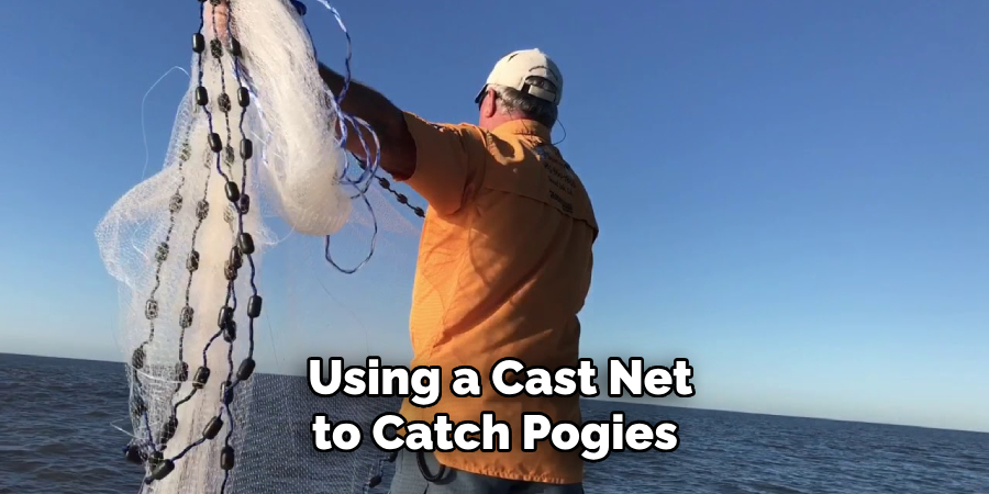 Using a Cast Net to Catch Pogies