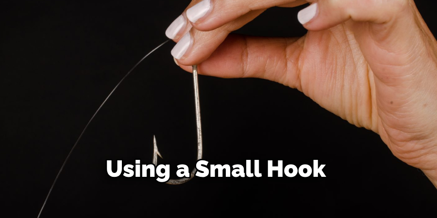 Using a Small Hook 