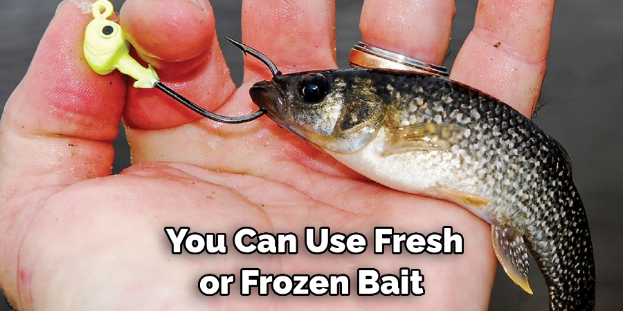 You Can Use Fresh or Frozen Bait