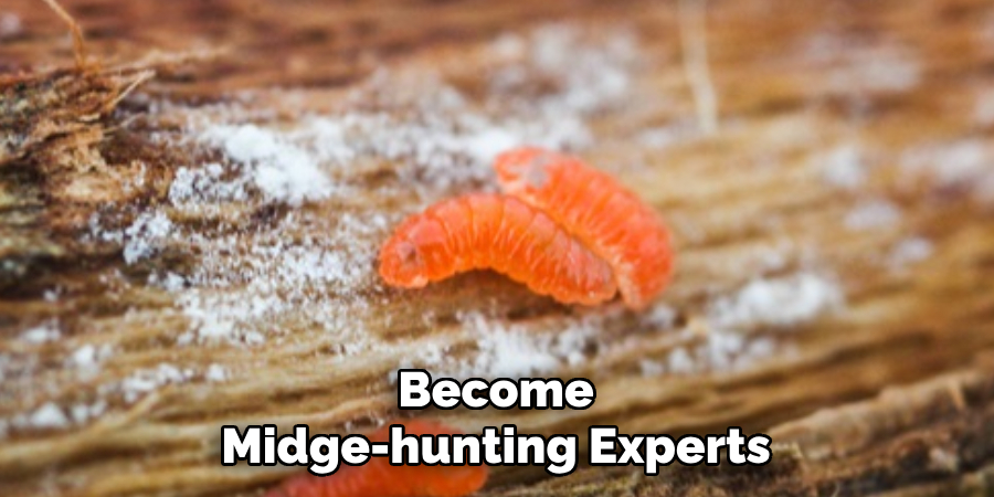 Become Midge-hunting Experts