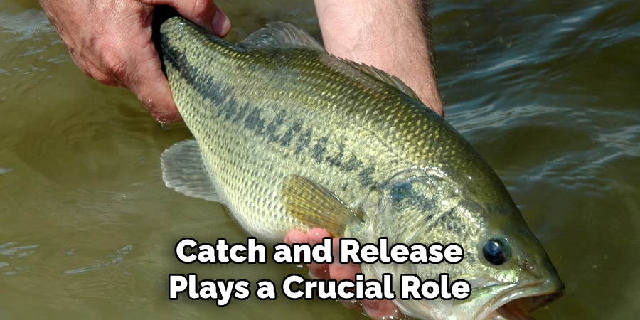 Catch and Release Plays a Crucial Role