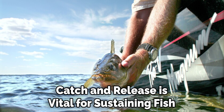 Catch and Release is Vital for Sustaining Fish