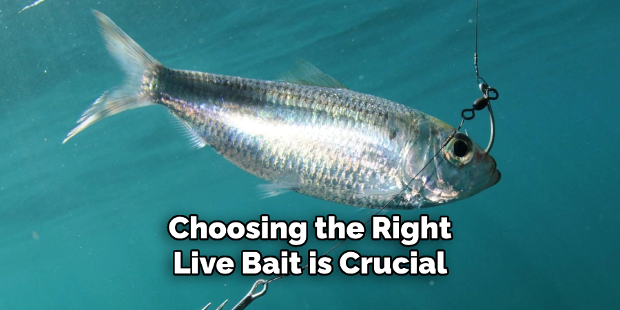 Choosing the Right Live Bait is Crucial 