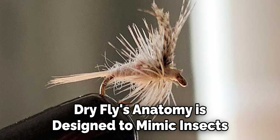 Dry Fly's Anatomy is Designed to Mimic Insects