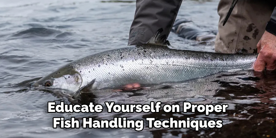 Educate Yourself on Proper Fish Handling Techniques