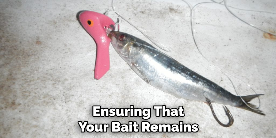 Ensuring That Your Bait Remains