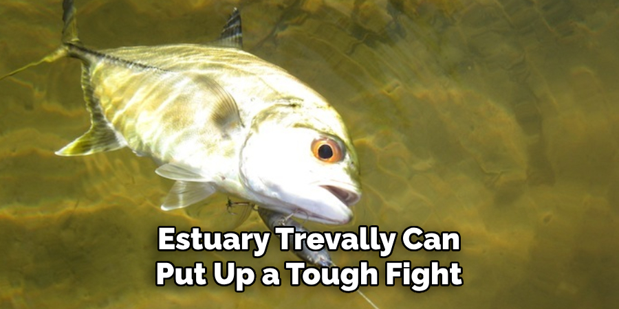 Estuary Trevally Can Put Up a Tough Fight