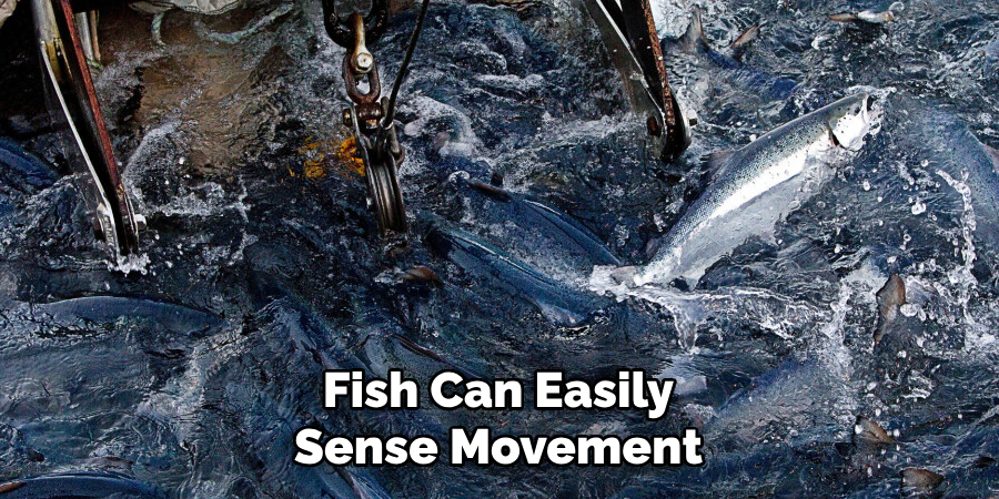 Fish Can Easily Sense Movement