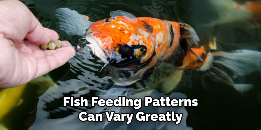 Fish Feeding Patterns Can Vary Greatly