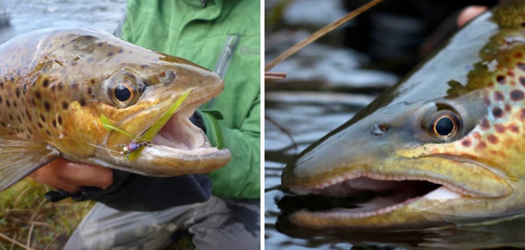 How to Catch Eucumbene Spawn Run From Shore