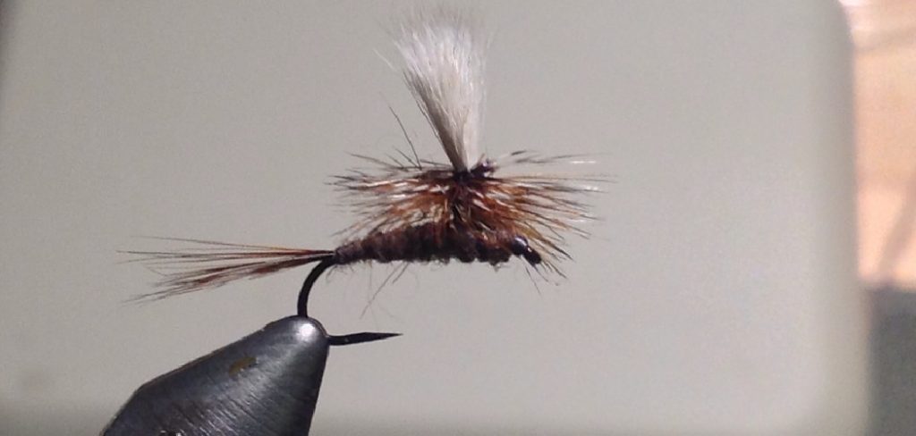 How to Fish Dry Flies