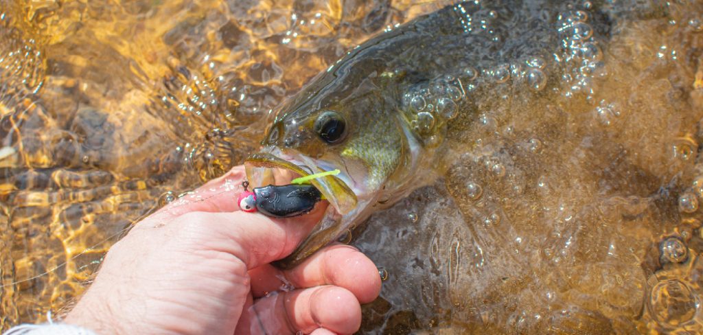 How to Fish Wet Flies