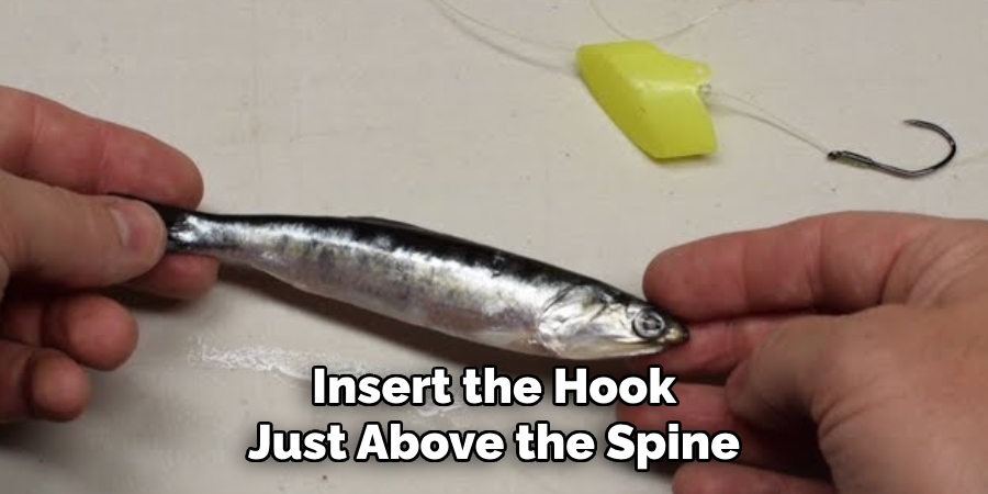 Insert the Hook Just Above the Spine