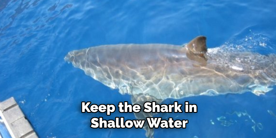 Keep the Shark in Shallow Water