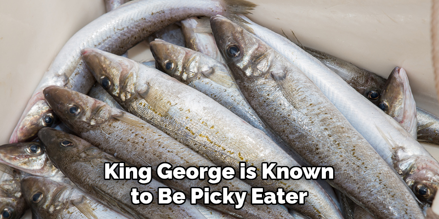 King George is Known to Be Picky Eater