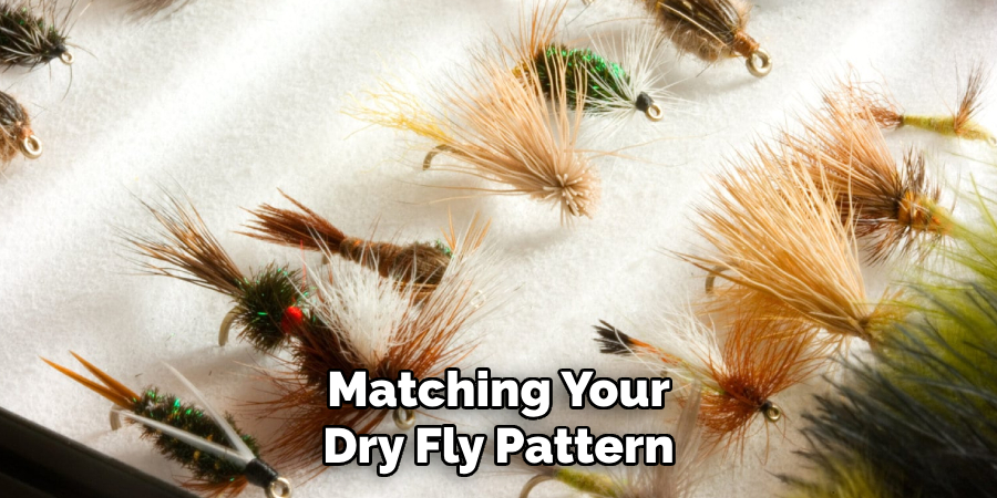 Matching Your Dry Fly Pattern