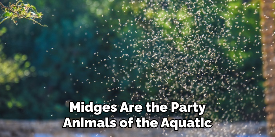 Midges Are the Party Animals of the Aquatic