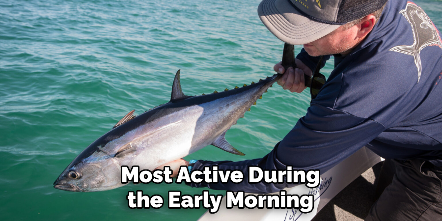 Most Active During the Early Morning