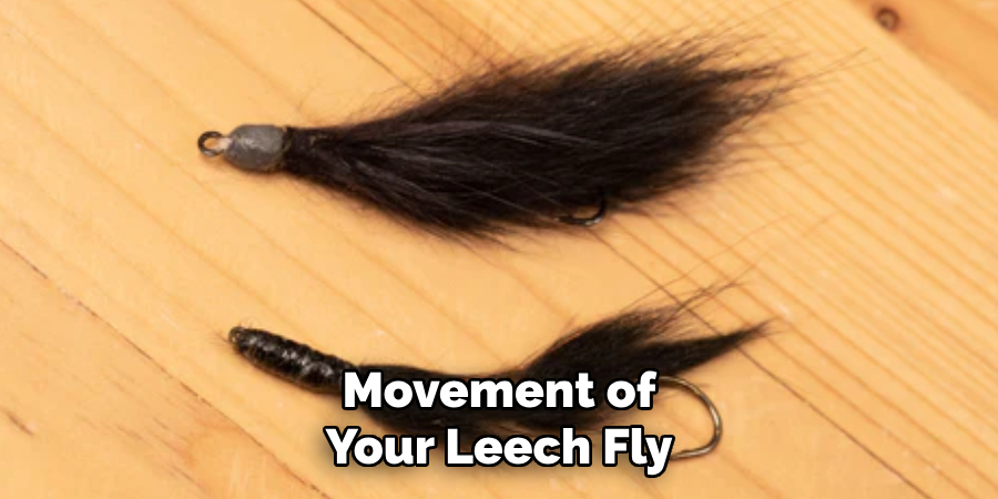 Movement of Your Leech Fly