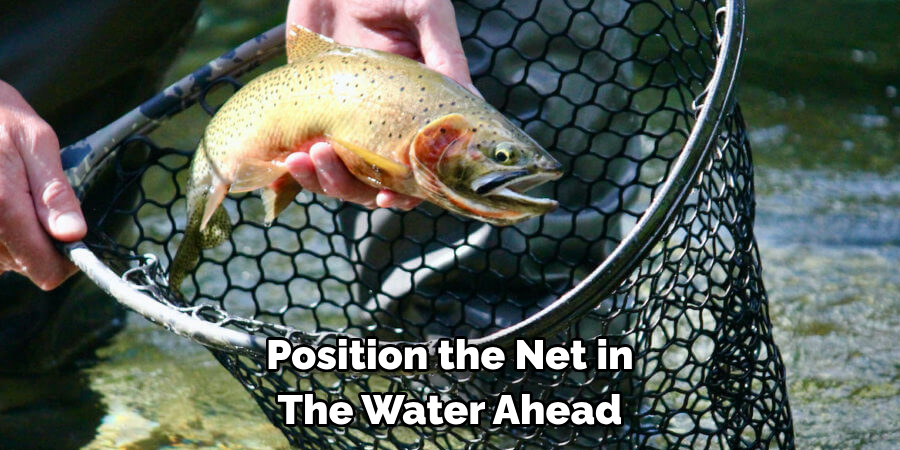 Position the Net in The Water Ahead