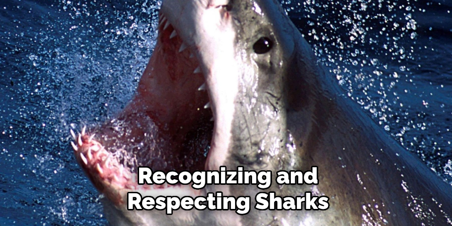 Recognizing and respecting sharks