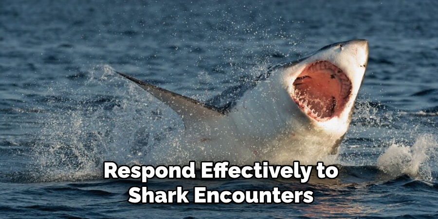 Respond Effectively to Shark Encounters