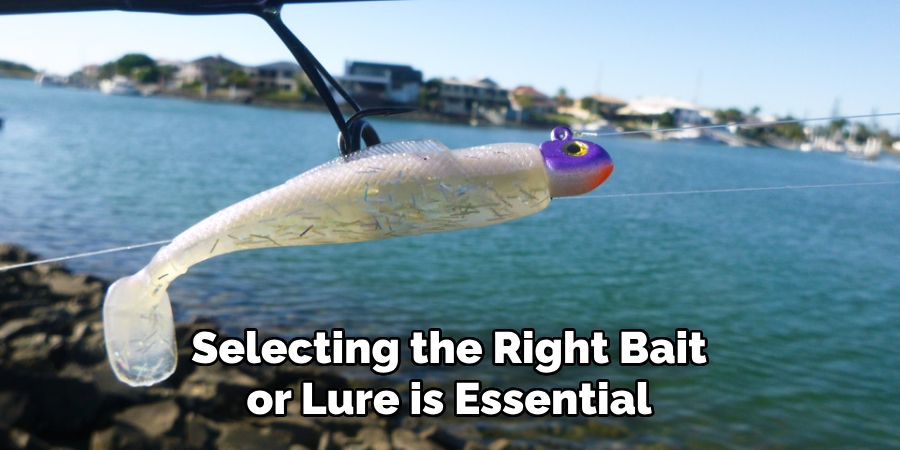 Selecting the Right Bait or Lure is Essential