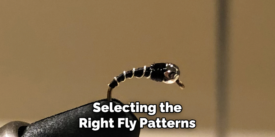 Selecting the Right Fly Patterns