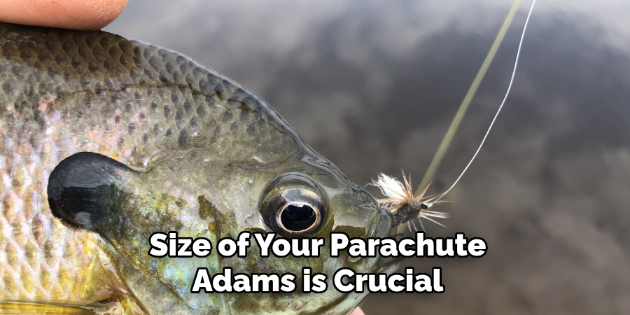 Size of Your Parachute Adams is Crucial