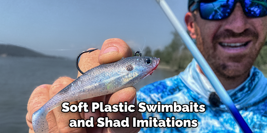 Soft Plastic Swimbaits and Shad Imitations