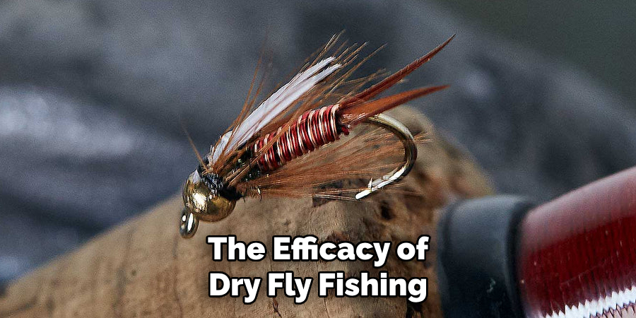 The Efficacy of Dry Fly Fishing