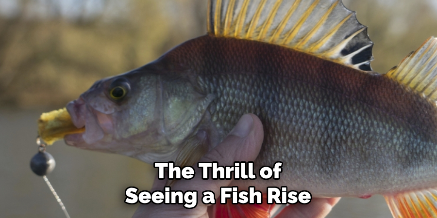 The Thrill of Seeing a Fish Rise