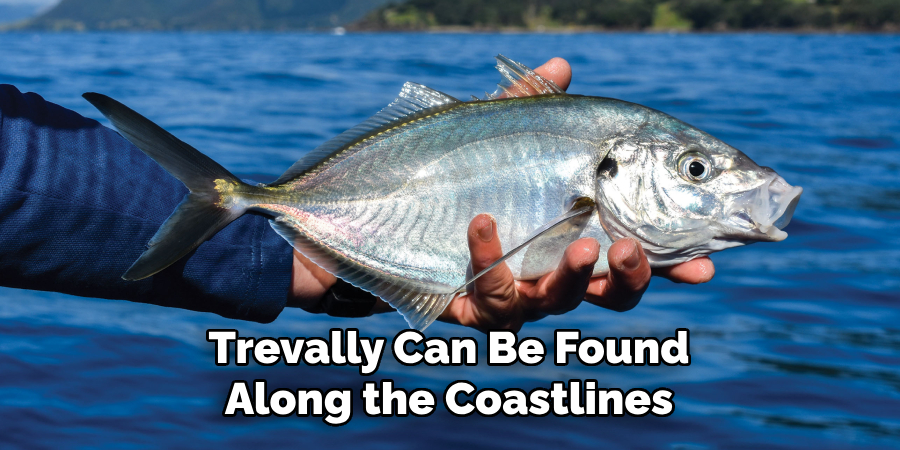 Trevally Can Be Found Along the Coastlines