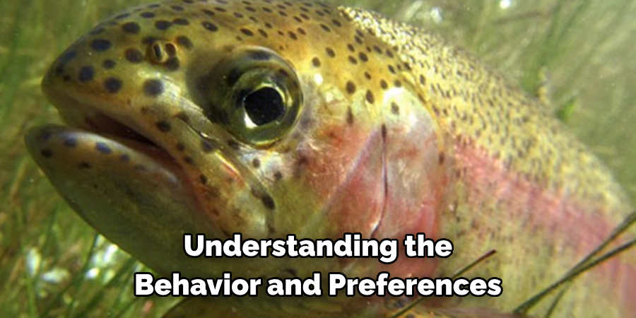 Understanding the Behavior and Preferences