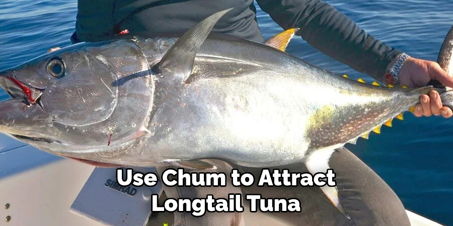 Use Chum to Attract Longtail Tuna