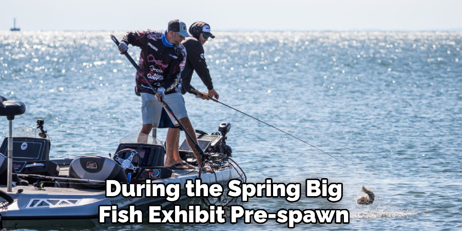 During the Spring Big
Fish Exhibit Pre-spawn