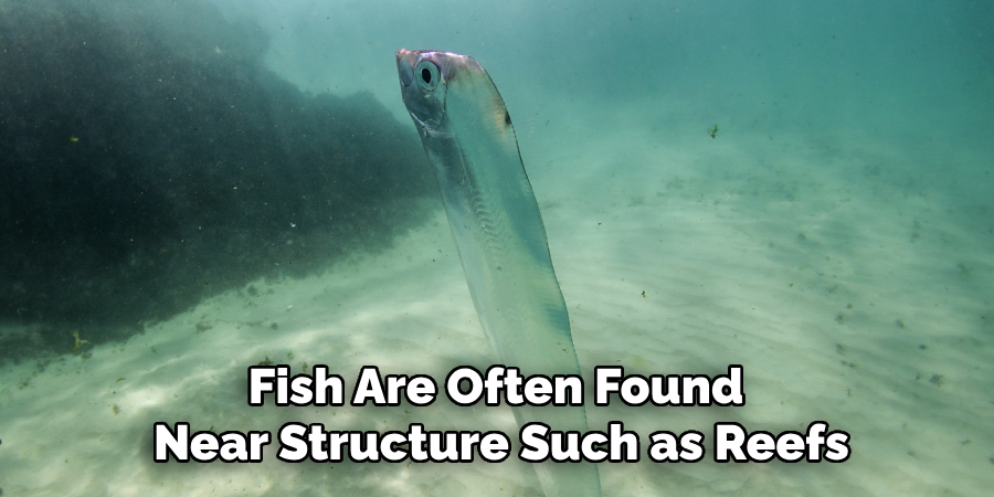Fish Are Often Found
Near Structure Such as Reefs