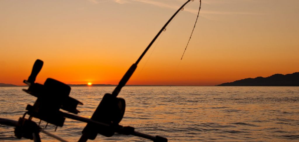 How to Get Big Fish
